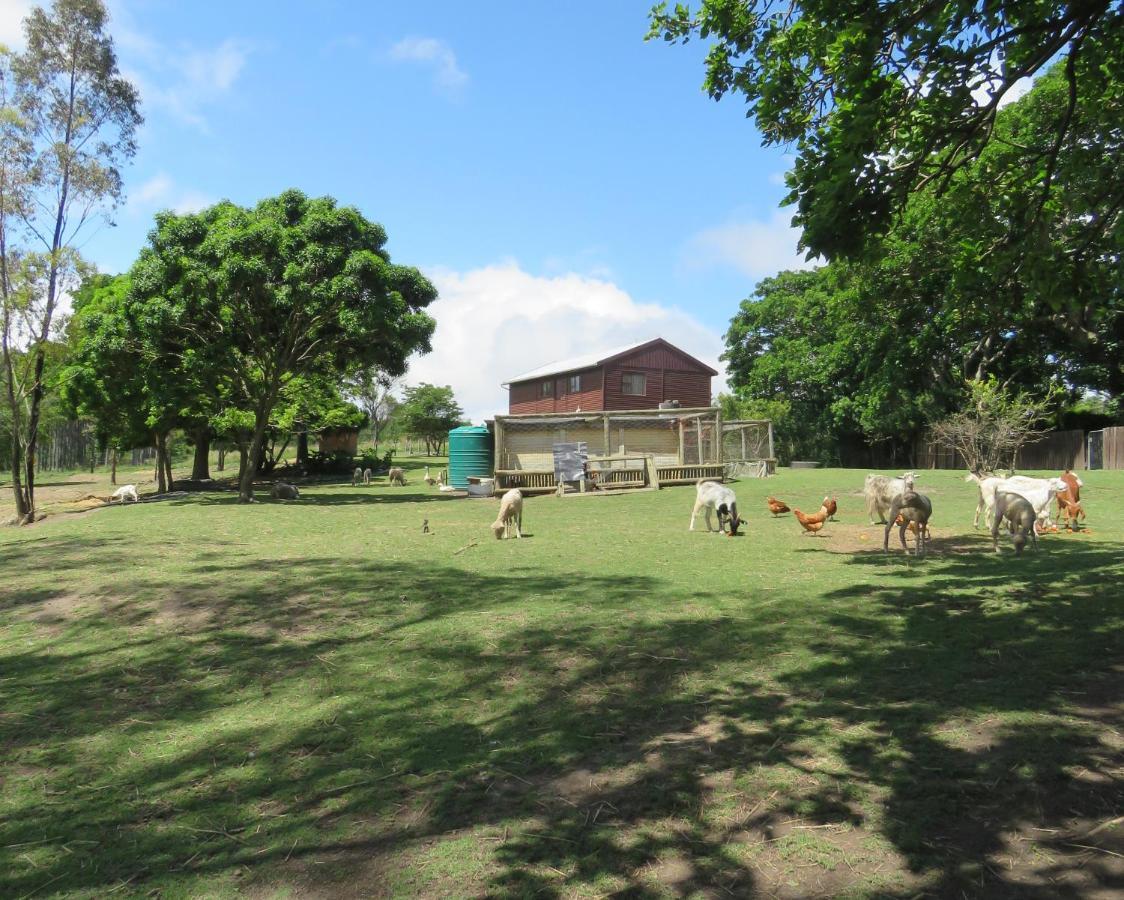 Misty View Farm Stay Layitemeni Εξωτερικό φωτογραφία