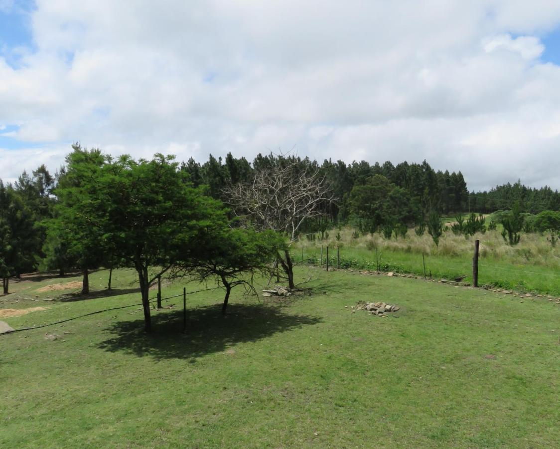 Misty View Farm Stay Layitemeni Εξωτερικό φωτογραφία