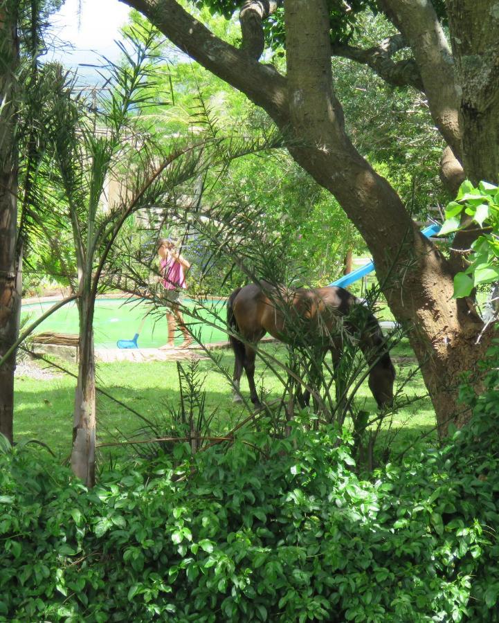 Misty View Farm Stay Layitemeni Εξωτερικό φωτογραφία